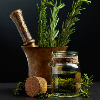 rosemary essential oil botanical powerhouse for hair growth and wellness