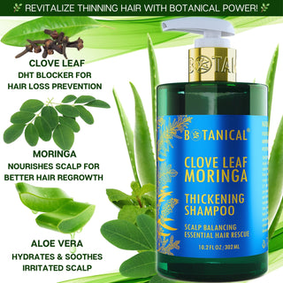 Botanical Clove Leaf Moringa Thickening Shampoo for hair thinning prevention