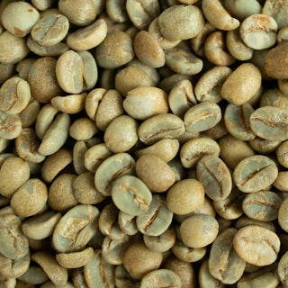 Green Coffee Bean Essential Oil - Botanical Premium 100% Pure - 0.5 Fl Oz