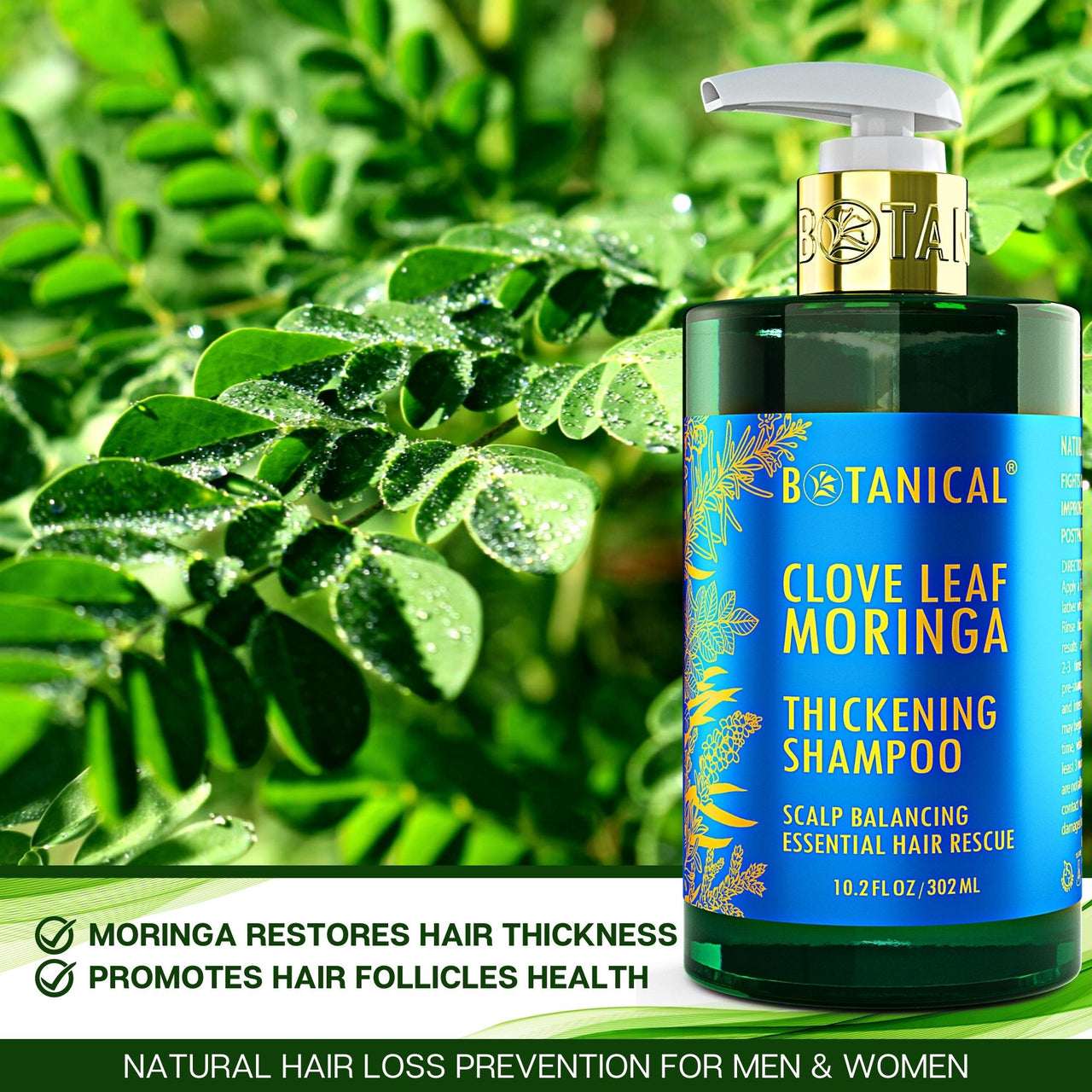 Clove Leaf & Moringa Shampoo for Thinning Hair - Scalp Balancing - 10.2 Fl Oz