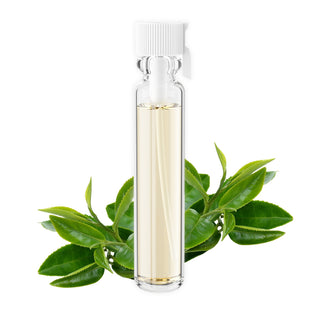 BOTANICAL GREEN LAB 100% Green Tea Oil 0.06 Fl Oz ( Sample Vial) Green Tea Essential Oil CO2 Extract – Natural Scalp Treatment & Hair Growth Oil | Antioxidant Skin Serum for Sensitive Skin | Essential Repair