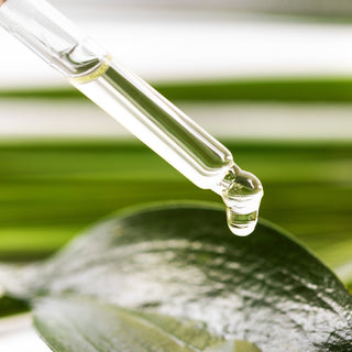 Botanical Green Lab essential oils and aromatherapy mists for natural relaxation, soothing wellness, and plant-based self-care